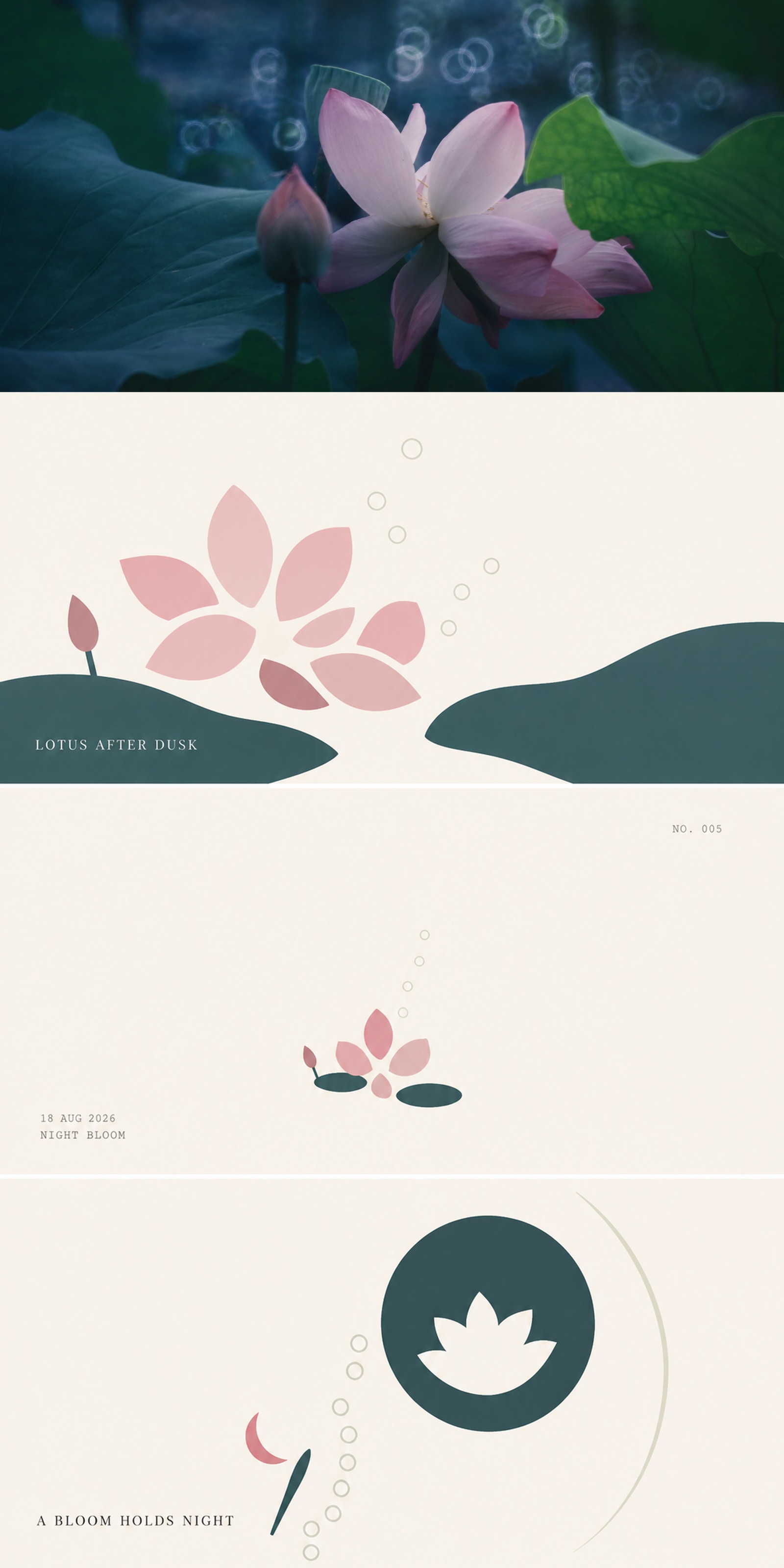 Lotus After Dusk
