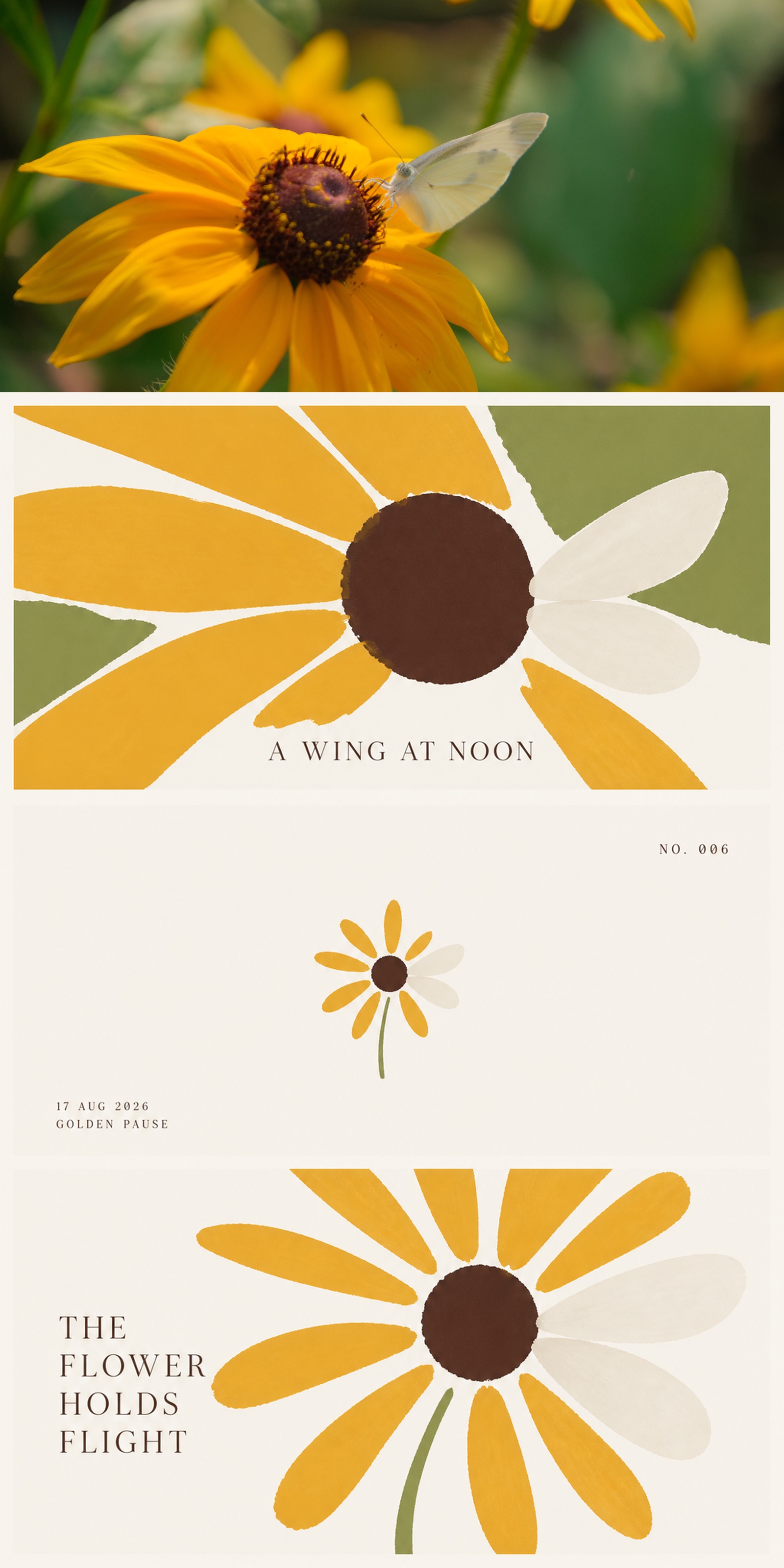 Wing at Noon