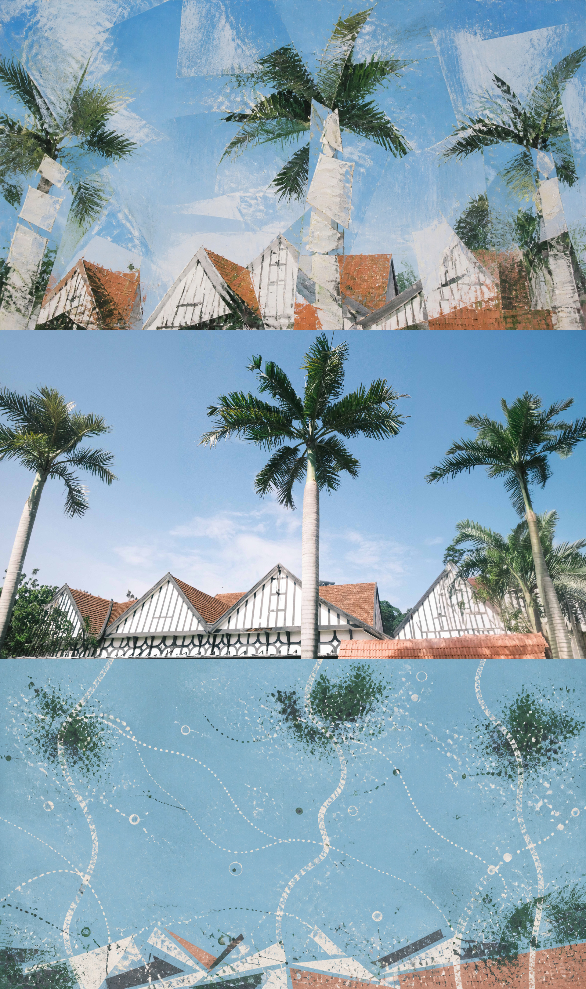Palms